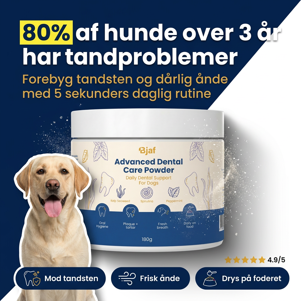 Bjaf Advanced Dental Powder tub seen from the front with label details