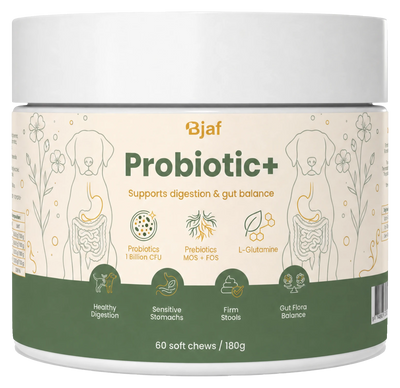 Probiotic+ Chews