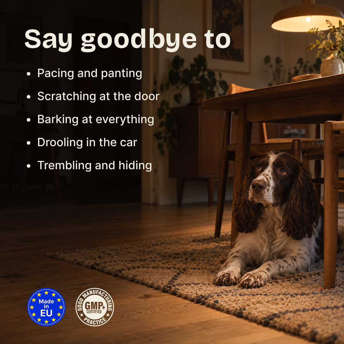 Calming Support Chews