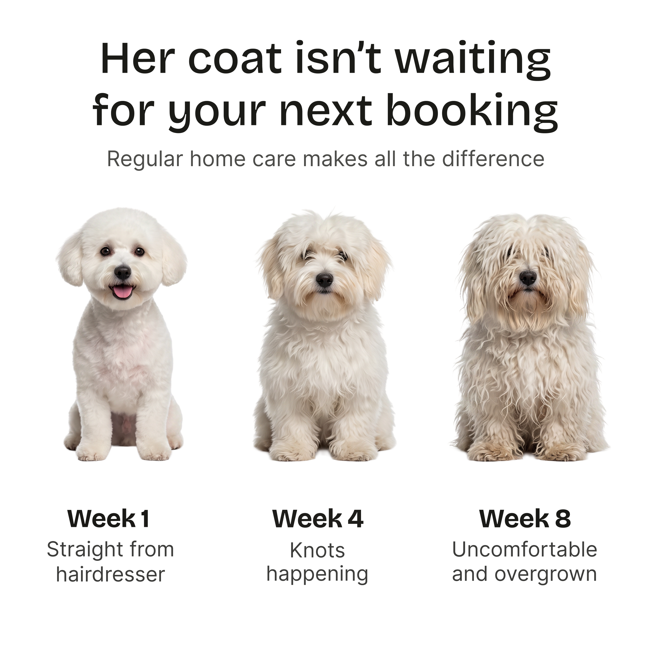 Bjaf Hundeschermaschine Pro™