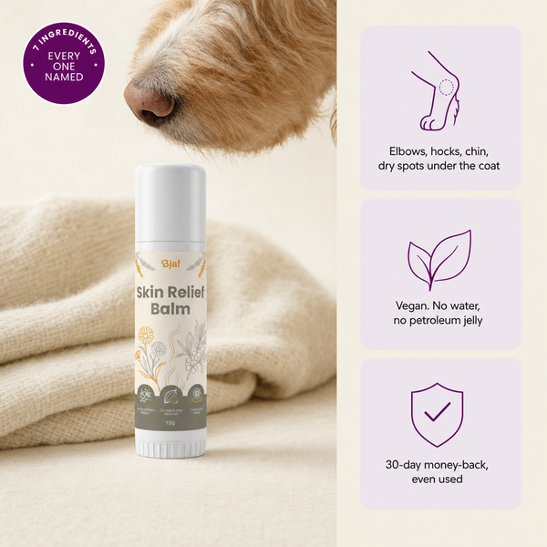 Hautbalsam 15 g