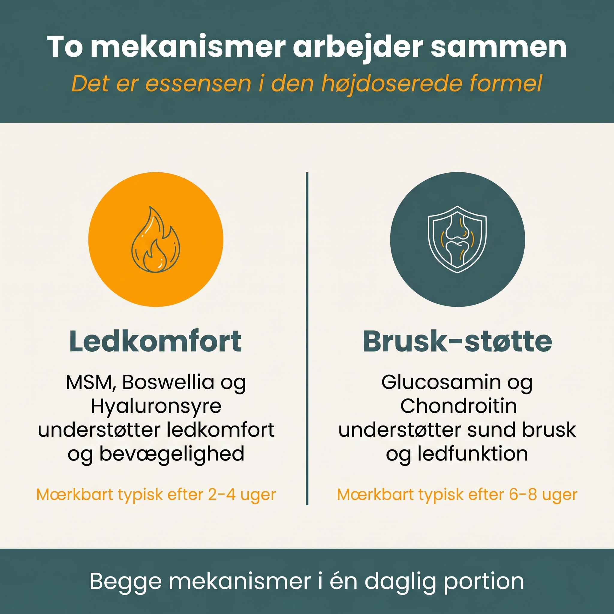 Glucosamine, MSM, chondroitin, Boswellia and hyaluronic acid with their dosages