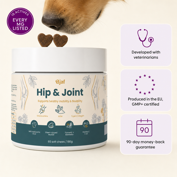 Hip & Joint Chews