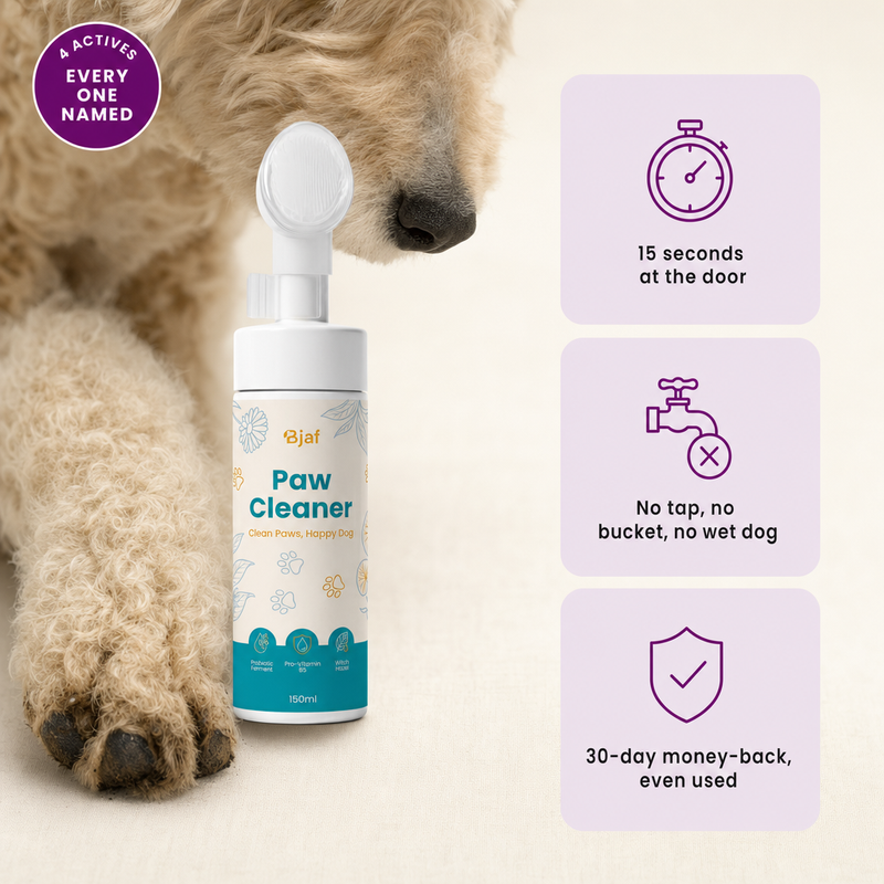 Bjaf Pfotenreiniger, 150-ml-Flasche mit Silikon-Bürstenkopf. 4 aktive Inhaltsstoffe, jeder einzelne benannt. 15 Sekunden an der Tür, kein Wasserhahn, kein Eimer, kein nasser Hund, 30 Tage Geld zurück, auch wenn benutzt.